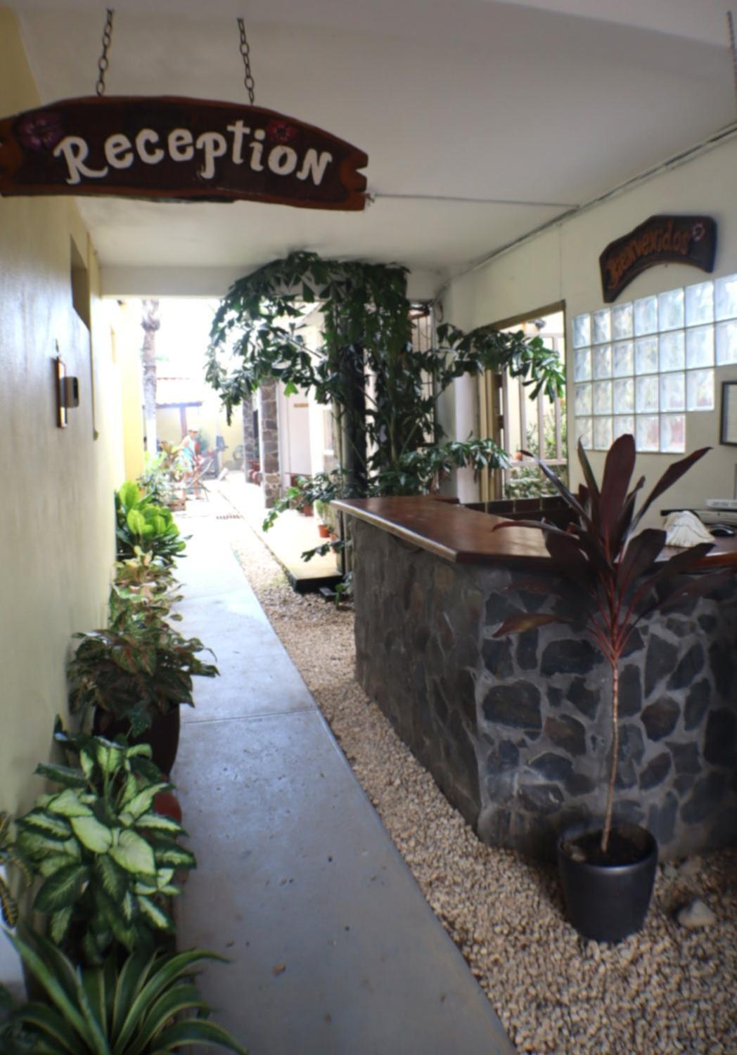 Coconut Beach House Playa Conchal Ngoại thất bức ảnh